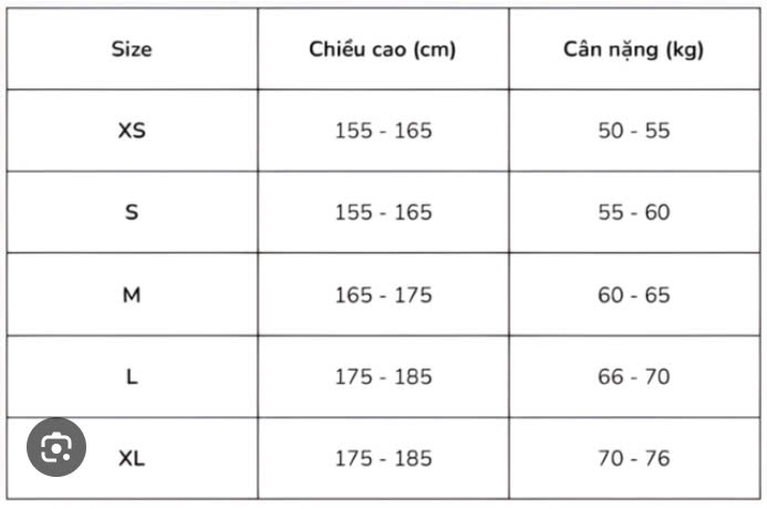 Áo thun Nam dài tay Precium - hàng xuất Mỹ, chất xịn. - Ảnh 3