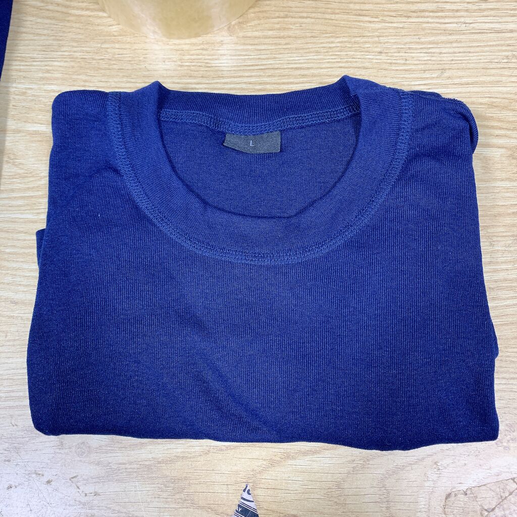 Áo thun mầu xanh freesize dài tay / cộc tay size L Châu Âu