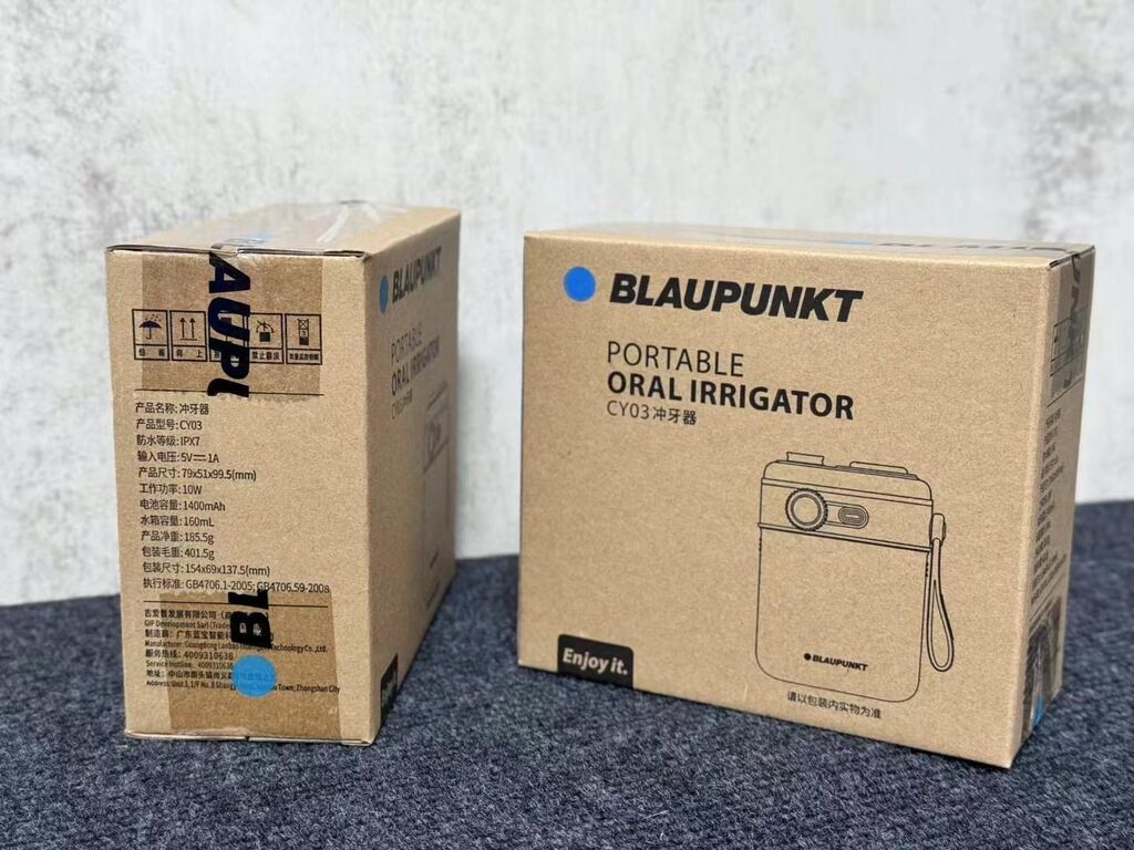 {Order giao 15/8} Máy tăm nước cầm tay BLAUPUNKT ( Đức ) - Ảnh 3