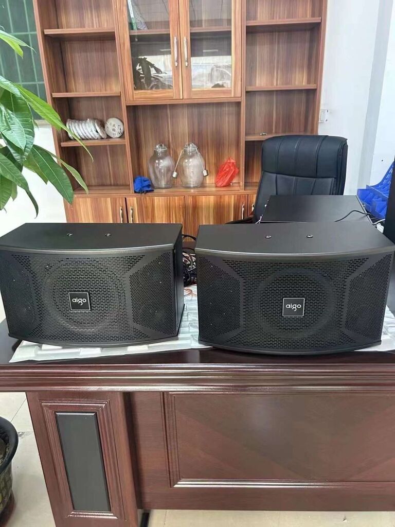 Cặp loa dàn Karaoke AIGO X109 ( 2 chiếc )