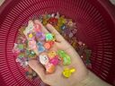 TÚI MÙ CHARM PHÁT SÁNG CON VẬT SET 100c - Ảnh 9