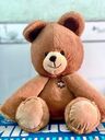 gấu Teddy 32cm  - Ảnh 5
