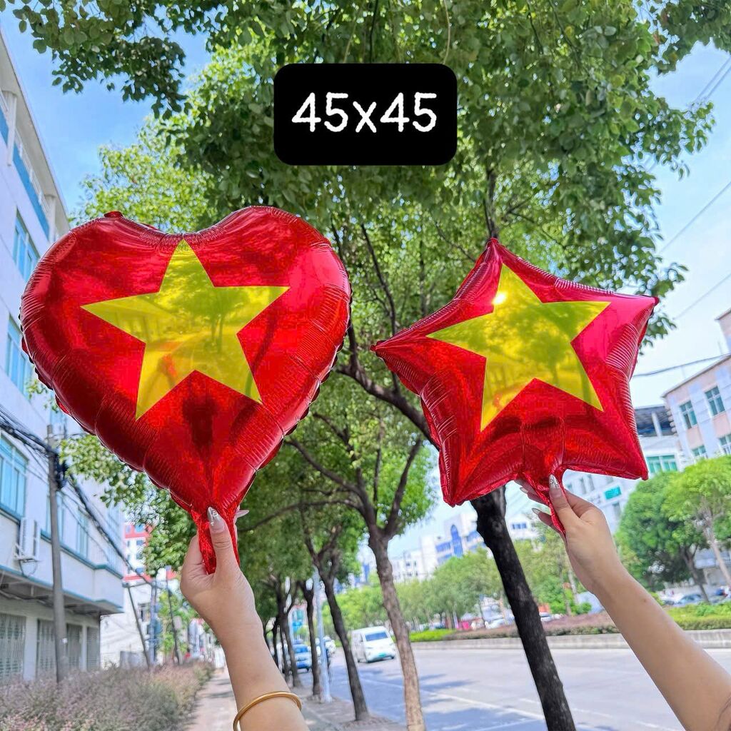 Bóng cầm tay yêu nước sz45x45