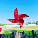 chong chóng tôi yêu Việt Nam - Ảnh 8