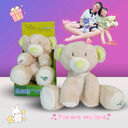 Gấu bông thông minh BEllNET - Ảnh 8