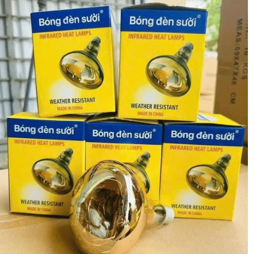 Bóng đèn sưởi rời  - Ảnh 3