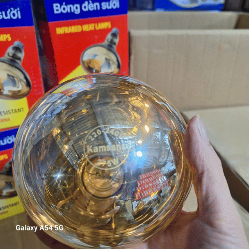 Bóng đèn sưởi rời  - Ảnh 5