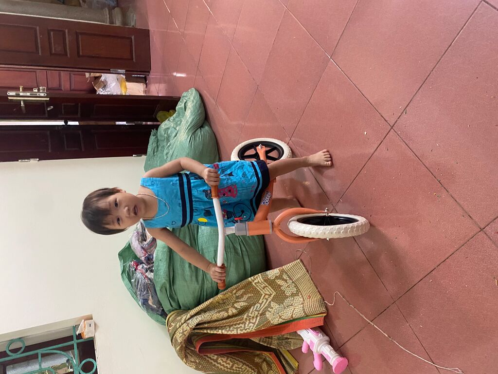 Xe thăng bằng bobby