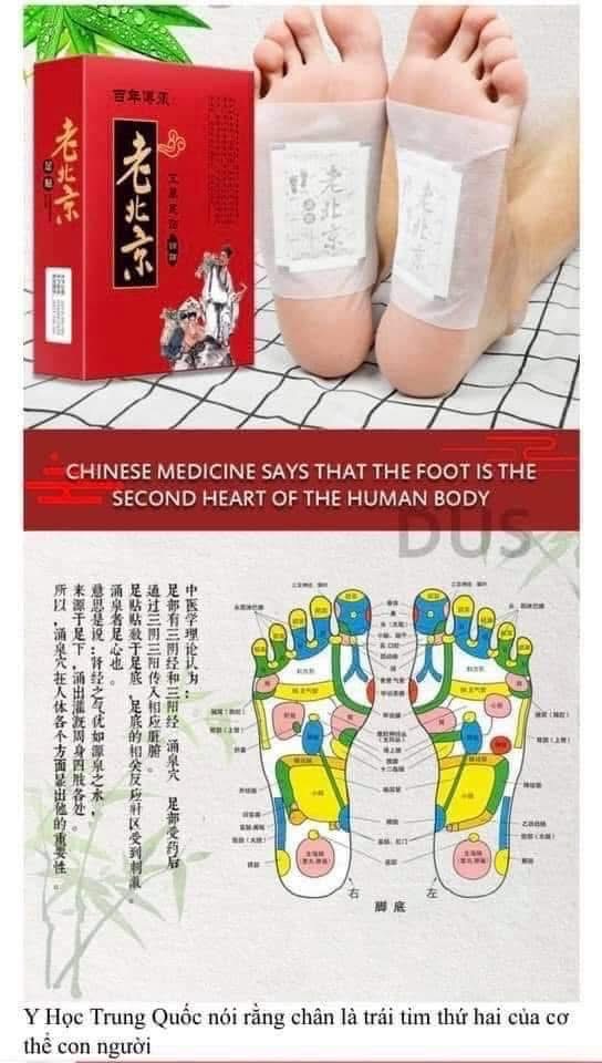 Hộp 50 miếng dán thải độc